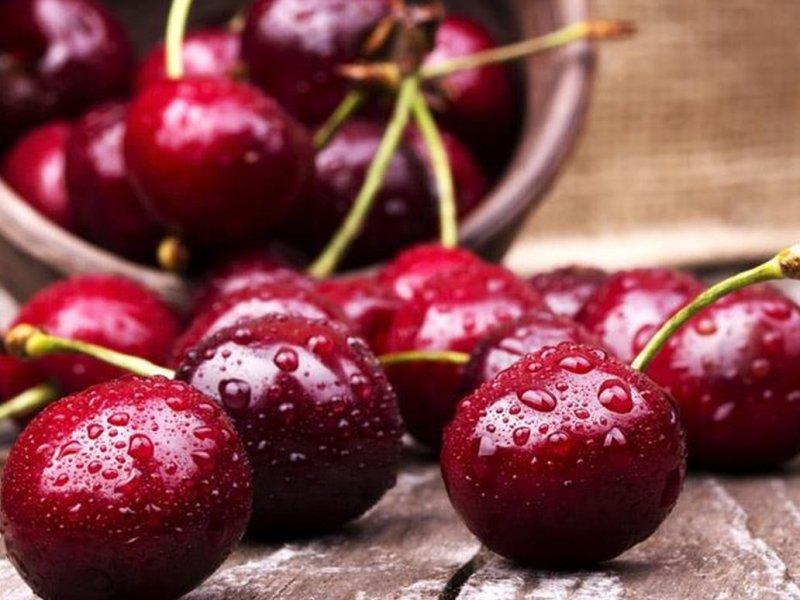 Вишня купить саженцы из питомника в Рузаевке